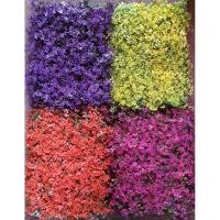 ราคา หญ้าเทียมหนา หญ้าแผ่นใบกุหลาบมอญ ติดผนัง ขนาด 40×60cm ใช้จัดสวนแนวตั้ง (11463501527)