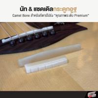 ราคา [โค้ดลด100-] นัท - หย่อง กระดูกอูฐ (กีตาร์โปร่ง) Camal Bone สำหรับกีต้าร์โปร่ง คุณภาพระดับ Premium เสียงใส กังวาล (48203230302)