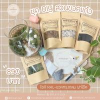 ราคา ชุดจัดสวนขวดแก้ว ไซส์ XXL -ขวดทรงกลม ฝาโอ๊ค (15*16+Oak) (19873737865)