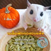ราคา ( เมล็ดฟักทอง ) SEED เมล็ดฟักทองอบแห้ง เมล็ดฟักทองอบสุก ธัญพืช อาหาร ชูการ์ ชูก้า กระรอก แฮมสเตอร์ ดอร์เมาส์ (21132048637)