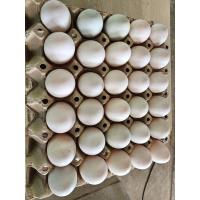 ราคา ไข่เป็ดสดๆจากฟาร์ม 30 ฟองเบอร์ 2สดใหม่ทุกวัน 179 บาท (28437480533)