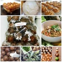 ราคา ลดราคาถูกพิเศษ เมล็ดพันธุ์แมคาเดเมีย macadamia ราชาแห่งถั่ว ถั่วเปลือกแข็ง โครงการหลวง ไม้ผลต่างประเทศ ธัญพืช 50 เมล็ด (2682167068)