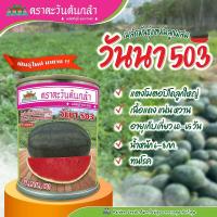 ราคา เมล็ดพันธุ์แตงโม ลูกผสม วันนา503 ตราตะวันต้นกล้า ขนาด40กรัม เมล็ดแตงโม แตงโมลูกใหญ่ (22913724467)