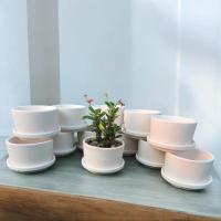 ราคา กระถางดินเผาบอนไซทรงเตี้ย 3 นิ้ว 12 ชุด (7681210784)
