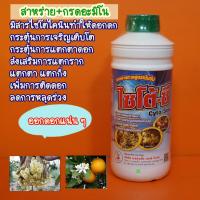 ราคา ไซโต้-ซี ไซโตไคนิน สาหร่ายทะเล+กระอะมิโน สูตรเข้มข้น 1 ลิตร ซื้อยกลังแถมเสื้อ แตกตาใบ เปิดตาดอก ฟื้นต้นหลังเก็บเกี่ยว (22919192170)