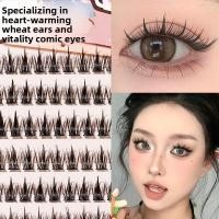 ราคา xixi ขนตาปลอมไม่ใช้กาว ธรรมชาติงอนสวย แบบแยกช่อ ใส่ง่าย มือใหม่ใช้ได้ ราคาถูกjm-29 (43859940055)