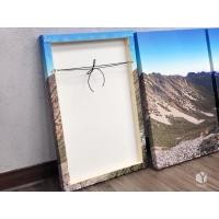 ราคา โปสเตอร์ภาพวาดผ้าใบ พิมพ์ลาย กําหนดเอง ตามรูปภาพของคุณ สําหรับตกแต่งบ้าน (19624842366)