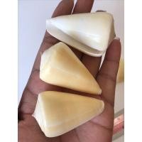 ราคา 1 ตัว เปลือกหอยสะสม หายาก เต้าปูนเหลืองครีมตัวเล็ก ขนาด5-6CM เปลือกหอยแท้ (9510549256)