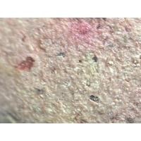 ราคา ลูกอมผงพรายกุมารหลวงปู่ทิม วัดละหารไร่ เนื้อชมพู (29308311785)