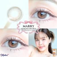 ราคา คอนแทคเลนส์ ขนาดกลาง - สี : Brown / Gray / Almond Marry (Montra) (24182040553)