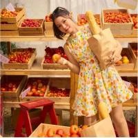 ราคา ส่งต่อเดรสสั้น Lookbooklookbook (Size.XS ,S และ M) รุ่น Chilli dress สีเหลือง Apricot Flush ค่ะ (used) (27672946253)