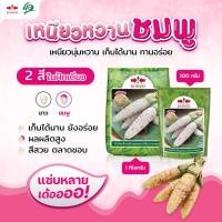 ราคา เมล็ดข้าวโพดข้าวเหนียว ลูกผสม เหนียวหวานชมพู ตราศรแดง เมล็ดพันธุ์ข้าวโพด เมล็ดข้าวโพดสีชมพู (26357625999)