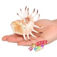 ราคา Monkey Toys - โมเดลสัตว์ Nautiloid หอย งวงช้าง ครีมหนาม ขนาด 10.50 CM (จากหาดใหญ่) (28050898384)