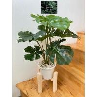 ราคา ต้นไม้ปลอมมอนสเตร่าปลอม 12 ใบ ( สูง 70 เซน )(งานห้าง) (3022472540)