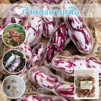 ราคา อินทรีย์็ด ใหม่็ด ง่าย ถั่วลิสงลายเสือ ใหม่ถั่วเสือ ถั่วดิน ถั่วจัมโบ้ ตัวเลือก 300 ใหม่็ด [10 ง่าย 1 ง่ายง่าย] หญ (22437859973)