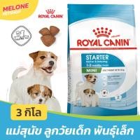 ราคา Royal Canin Mini Starter Mother & Babydog อาหาร รอยัลคานิน ลูกสุนัข และ แม่สุนัข พันธุ์เล็ก เม็ดเล็ก ขนาด 3 kg (16880379821)