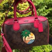 ราคา New Coach หมอน9นิ้ว ใหม่มือ1พร้อมส่งแท้100% (1449435269)