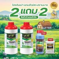 ราคา [New ดินเน่า2แถมฮิวมิค1ปราบมาร1] ดินพังไม่หวั่น! “ดินเน่า” กู้ชีพดินเสื่อม เปลี่ยนดินเสีย เป็นดินดี ด้วยดินเน่า!! (29220033924)