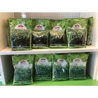 ราคา เมล็ดพันธุ์ผัก ผักบุ้งจีน พันธุ์ไผ่เงิน ตราศรแดง ราคาถูก ไผ่เงิน ยอดไผ่9 (7066190888)