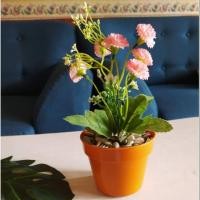 ราคา ดอกไม้ดอกไม้ดอกไม้ศิลปะดอกไม้ดอกไม้พลาสติกตกแต่งรั้วพลาสติกดอกไม้พลาสติก (10628652843)