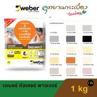 ราคา WEBER กาวยาแนว เวเบอร์ คัลเลอร์ พาวเวอร์ ขนาด 1 กก. กาวยาแนวสี ตราตุ๊กแก กาวยาแนวพื้น ป้องกันเชื้อรา (23746167351)