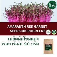 ราคา เมล็ดไมโครกรีนผักโขมสีแดงเรดการ์เนท 20 กรัม Amaranth Red Garnet Microgreens seeds 20 g. (28863319409)