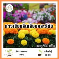 ราคา เมล็ดพันธุ์ดอกดาวเรืองสีเหลืองคละสีส้ม 300 เมล็ด (46902592938)