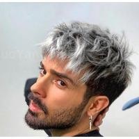ราคา วิกผม วิกผมสั้น วิกผมสำหรับผู้ชาย สีเงินสีเทา สั้นและขด สวมใส่ง่าย (57355415524)