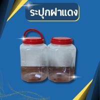 ราคา กระปุกขนม โหลใส่อาหาร ขวดโหลปลากัด ขวดโหลเลี้ยงปลากัด กระปุกฝาแดง โหลพลาสติก 8 เหลี่ยม ไซส์ใหญ่ (จัมโบ้) ฝาแดงมีหูหิ้ว (15891090268)