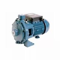 ราคา ปั๊มน้ำอิตาลี EUROFLOW WB100 ของแท้ (14176750413)