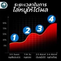 ราคา ไล่หนู ของแท้เครื่องไล่หนู ไล่เเมลง ซื้อ 1 แถม 1 ไล่ยุง ไล่มด ไล่แมลง ไล่จิ้งจก รุ่น RIDDEX QUAD ป (29855138800)