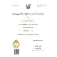 ราคา หน่อกล้วยไข่กำแพงเพชร ขอขั้นต่ำ4หน่อนะค่ะ (7434004144)