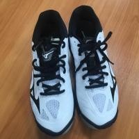 ราคา รองเท้ากีฬา Mizuno ของแท้ ของใหม่ (1331563540)
