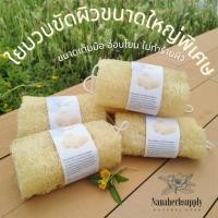ราคา ใยบวบขนาดใหญ่ 5 - 6 นิ้ว ใยบวบท่อน ใยบวบขัดผิว ใยบวบอาบน้ำ ใยบวบขัดตัว ขัดผิว​ บวบ​ luffa (14996916892)