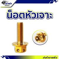 ราคา ส่งเร็ว น็อตหัวเจาะ สีทอง 5X15mm น็อตแต่ง น็อตทอง น๊อตแต่งรถมอไซ น๊อตทอง น๊อตแต่ง (28250275274)