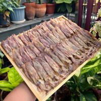 ราคา หมึกแพไข่เล็ก ไข่แน่นทุกตัว ของฝากจากปากน้ำปราณ (43659110870)