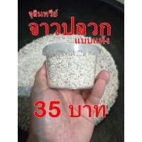 ราคา จุลินทรีย์จาวปลวกแบบแห้ง แบบหยาบ 120 กรัม 35 บาท (2629301130)