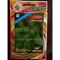 ราคา เมล็ดกะเพราแดงกลิ่นหอม 10 แถม 1 กะเพรา กะเพราแดง holy basil เมล็ดพันธุ์ผัก กะเพรา กระเพรา (14084907147)