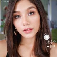 ราคา Contact lens | mini ava gray (1395133506)