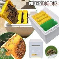 ราคา ปกเสื้อ คนเลี้ยงผึ้ง กล่องจ่ายในสวน, กล่องอุปกรณ์เลี้ยงผึ้ง กล่องเลี้ยงผึ้ง, กล่องเพาะพันธุ์ผึ้งควีนบี, โฟมกันน้ําระดับมืออาชีพกล่องผึ้งก (44654077322)