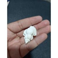 ราคา เปลือกหอยหายาก nipponsphera habei (24678177754)