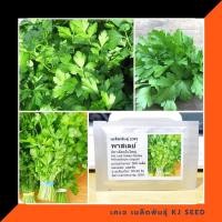 ราคา พาสเลย์อิตาเลียน - Giant Italian Parsley (171335001)