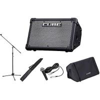 ราคา Roland Street Live ชุดเครื่องขยายเสียงประสิทธิภาพ CUBE EX / CUBE-STEX (43467209893)