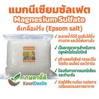 ราคา แมกนีเซียมซัลเฟต 300G/1KG Magnesium Sulfate Epsom salt ดีเกลือฝรั่ง แม่ปุ๋ยไฮโดรโปรนิกส์ (24038007319)