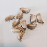 ราคา กระเทียมไทย แกะกลีบกลาง (25127436137)