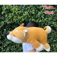 ราคา หมาชิบะ นอน 70cm. (4331576458)
