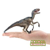 ราคา Animal Kingdom - โมเดล ไดโนเสาร์ Velociraptor เทาฟ้า ขนาด 16.00 CM (จากสงขลา) (19917848494)