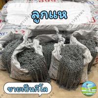ราคา ลูกแห ขายเป็นกิโล เบอร์ 10,11,12,13,14 หรือเบอร์ 1-5 ลวดชุบสังกะสี โซ่ถ่วงผ้าม่าน โซ่ลูกแห โซ่เหล็ก (25933312075)