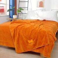 ราคา ผ้าห่มขนแกะปะการัง ผ้านาโน สีพระ ลายมั่งมี ศรีสุข ขนาด 150*200 cm. (42068038002)