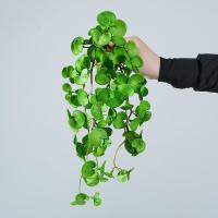 ราคา ต้นไม้ปลอม ใบเงินใบทอง พลาสติกนิ่ม เหมือนจริง ต้นไม้ประดับเทียมสำหรับแขวนผนัง ตกแต่งบ้าน ออฟฟิศ และสวน (41458866692)